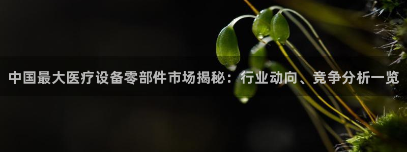 <h1>龙8国际唯一官网手游登录入口小红书</h1>中国最大医疗设备零部件市场揭